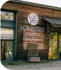 image d'un bureau de forestry france