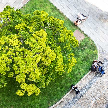 Forestry France  expertises et gestion forestières