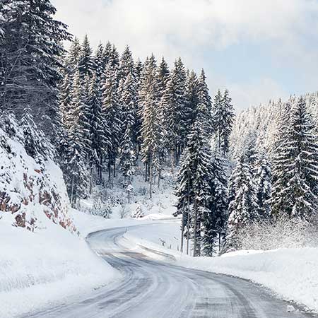 Forestry France  expertises et gestion forestières